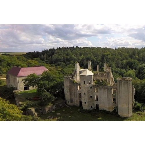 Photo du château de Rochefort