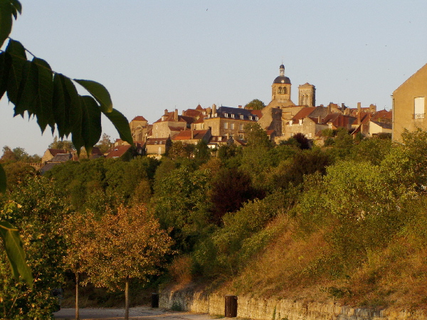 Photo du vignoble du Vezelay