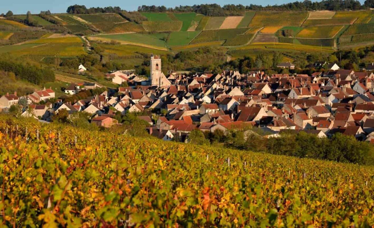 Photo du vignoble d'Irancy