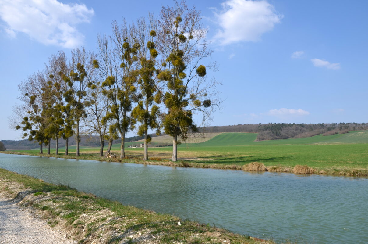 Canal_entre_Commissey_et_Tonnerre_DSC_0379_Pline, CC BY-SA 3.0