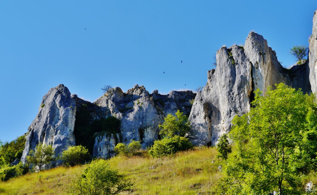 ROCHERS-Merry-sur-Yonne_Rochers_de_Saussois_03_Zairon-CC-BY-SA-4.0